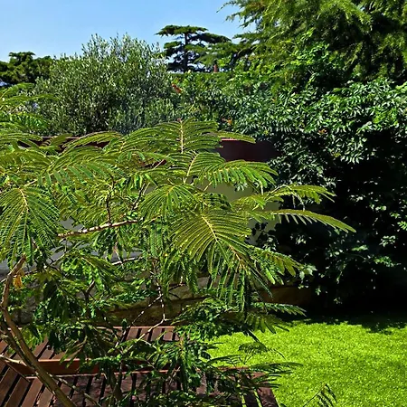 Seagreen Apartamento