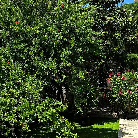 Seagreen Apartamento Novi Vinodolski